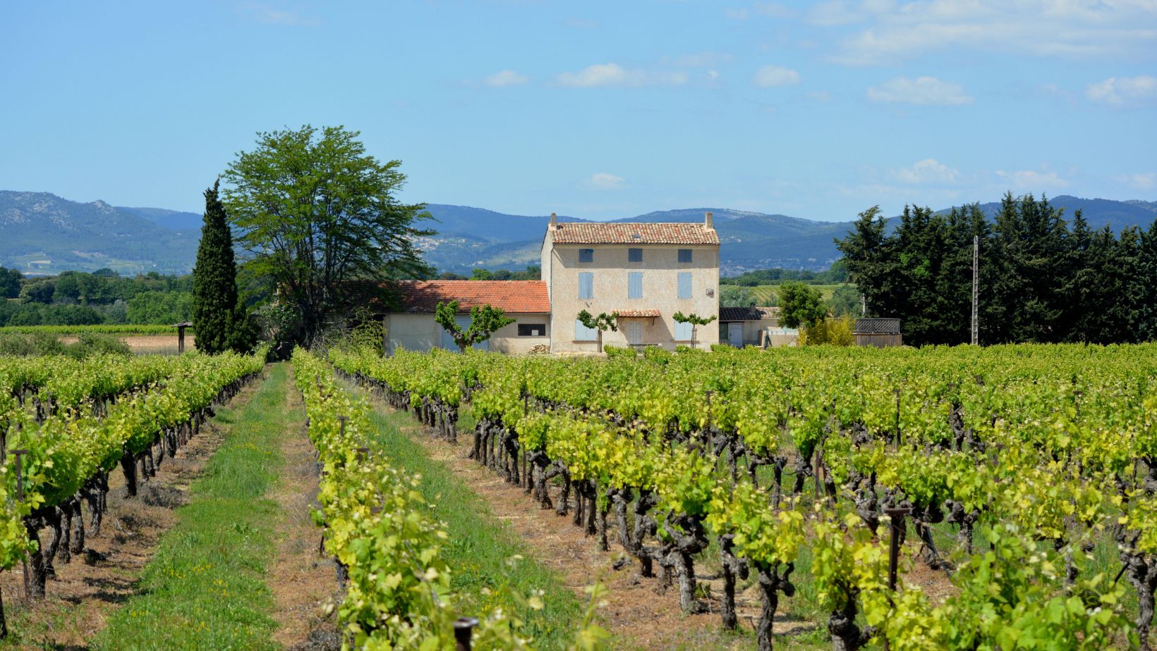 DIVALTIS possède un réseau de partenaires pour vous aider à prendre les bonnes décisions.